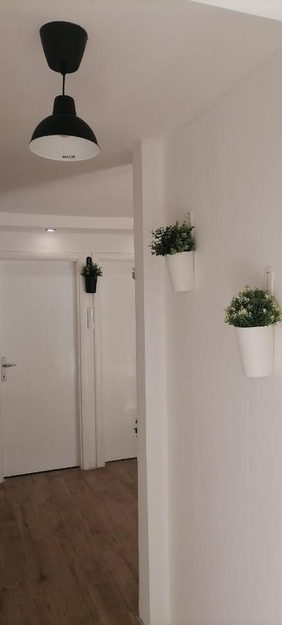 Appartement Rustic *
